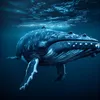 Blue Whale